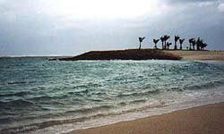 曇っていても沖縄の海は青い