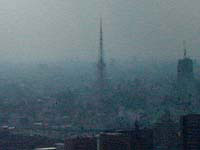 聖路加タワーから見た東京タワー