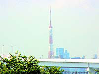 お台場から見た東京タワー