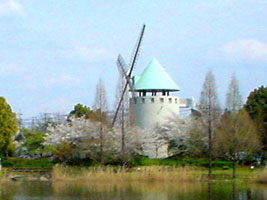 松伏記念公園の風車(埼玉県松伏市)